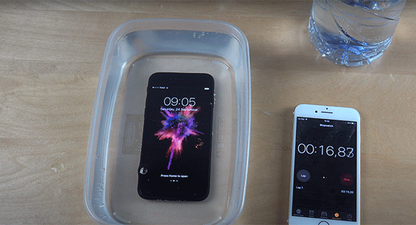 Что делать, когда на iPhone 7 попала вода